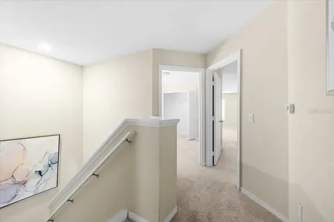 4007 Foxtail Palm Court Tampa FL 33624