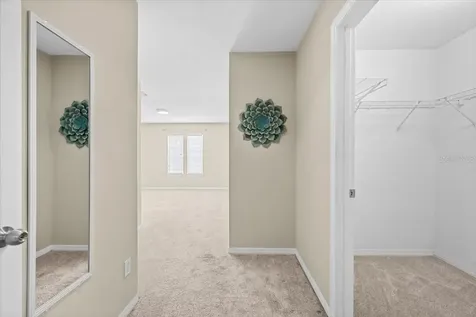 4007 Foxtail Palm Court Tampa FL 33624