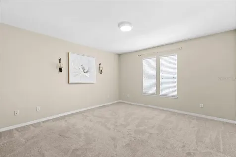 4007 Foxtail Palm Court Tampa FL 33624