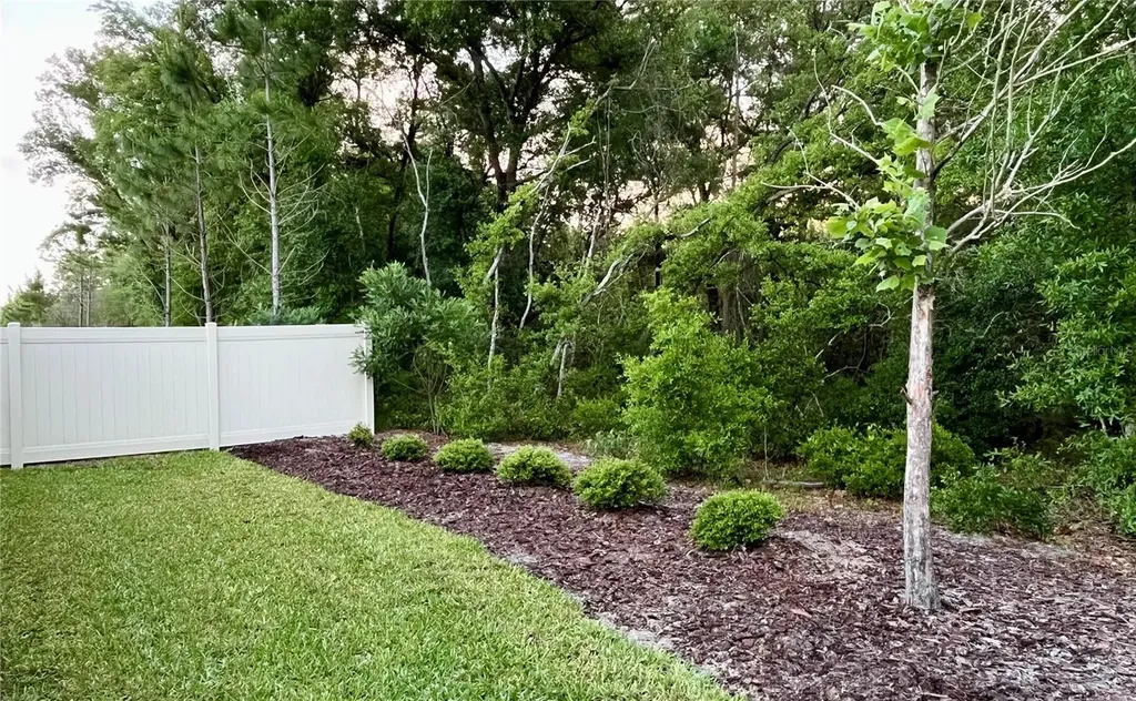2132 Canopy Terrace Boulevard Deland FL 32724