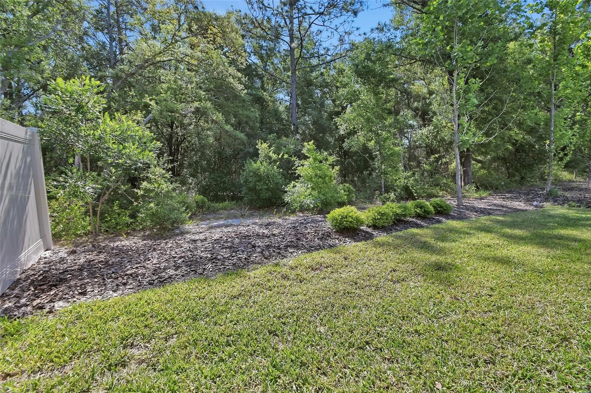 2132 Canopy Terrace Boulevard Deland FL 32724