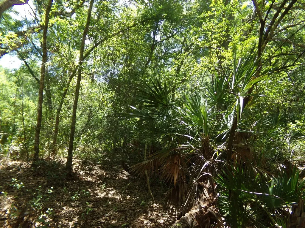 Knoxville Drive Webster FL 33597