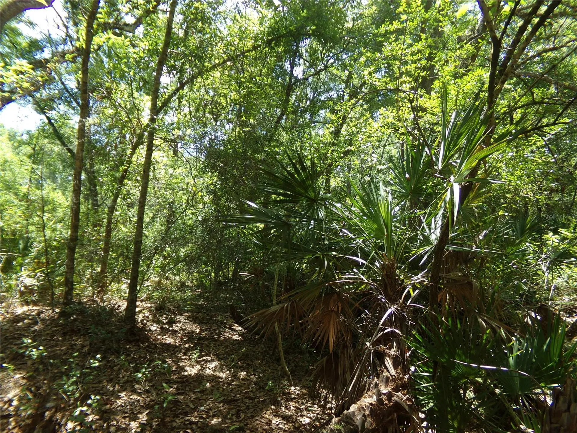 Knoxville Drive Webster FL 33597