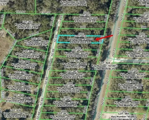 Knoxville Drive Webster FL 33597