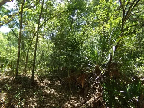 Knoxville Drive Webster FL 33597