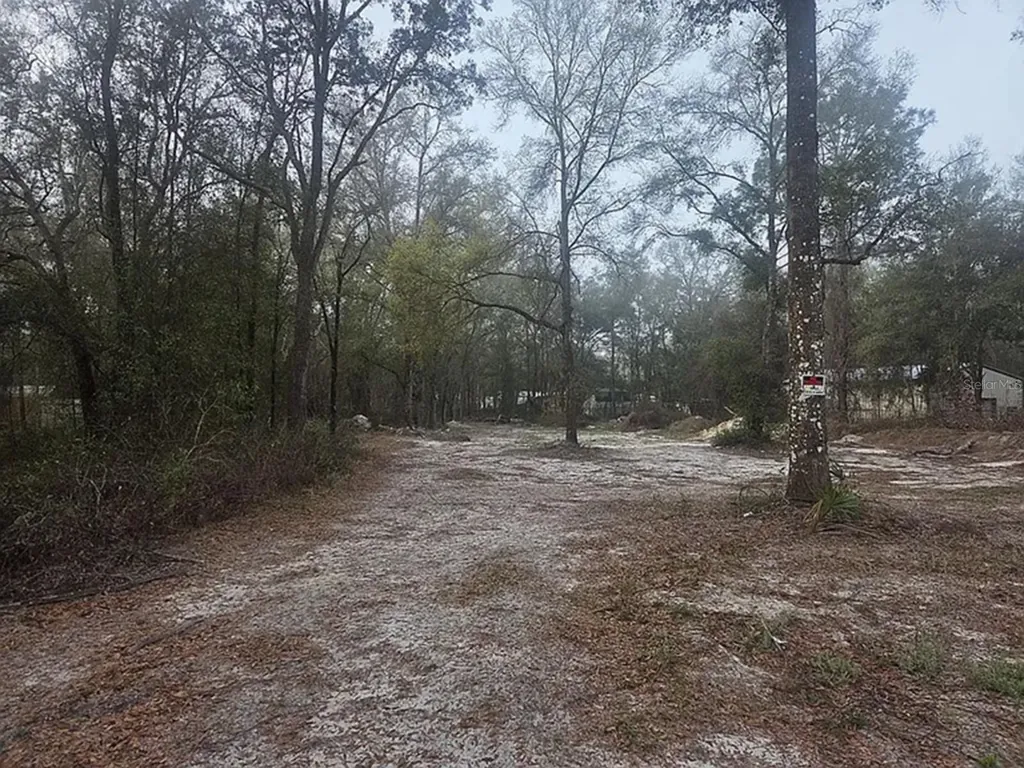 SW 156th Place Dunnellon FL 34432