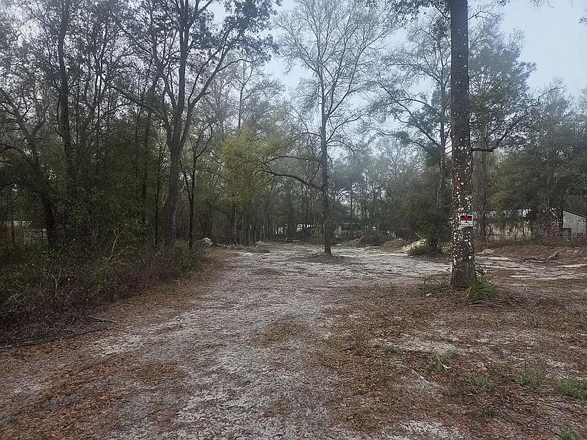 SW 156th Place Dunnellon FL 34432