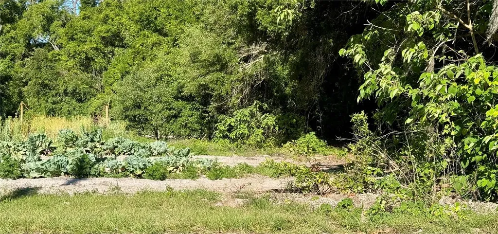 00 County Road 213 Wildwood FL 34785