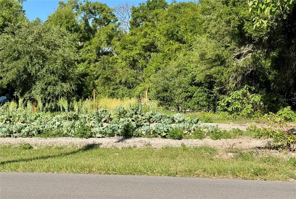 00 County Road 213 Wildwood FL 34785