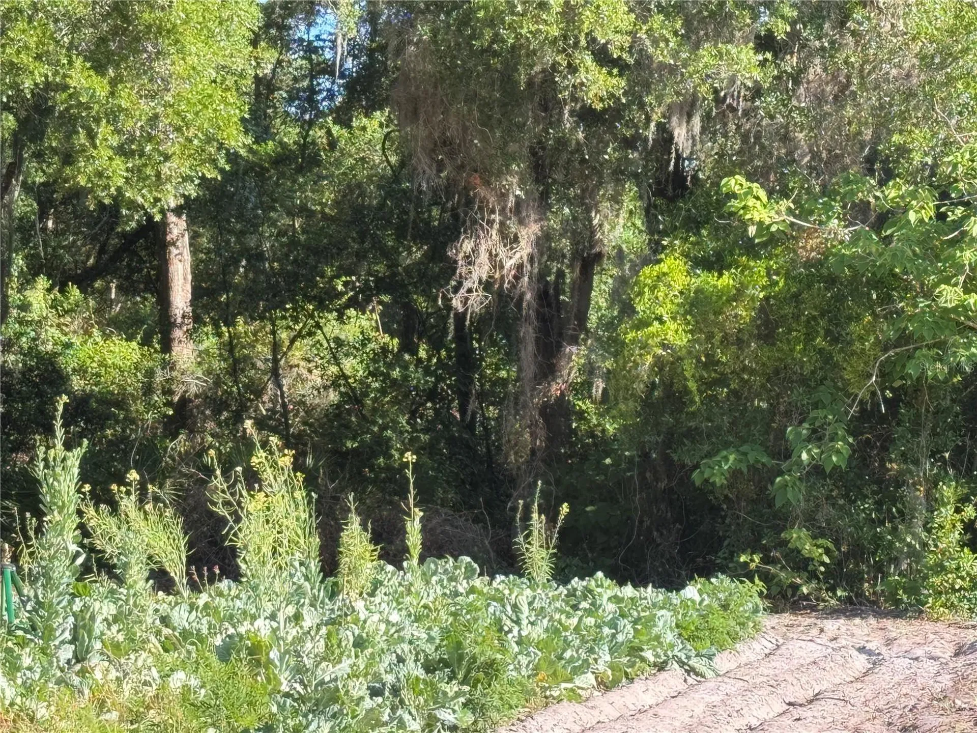 00 County Road 213 Wildwood FL 34785