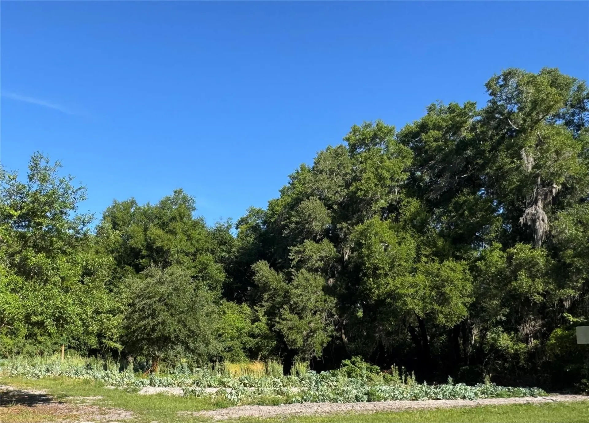 00 County Road 213 Wildwood FL 34785