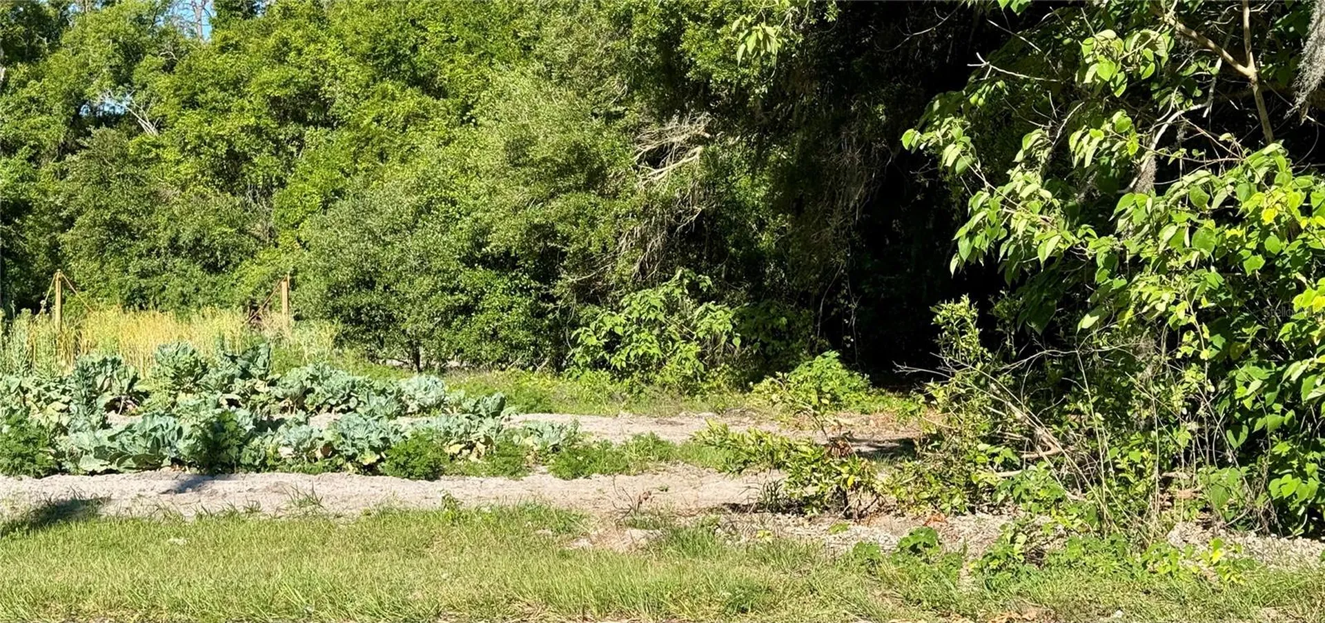 00 County Road 213 Wildwood FL 34785