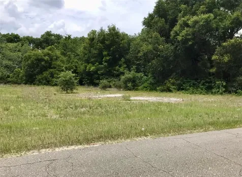 00 County Road 213 Wildwood FL 34785