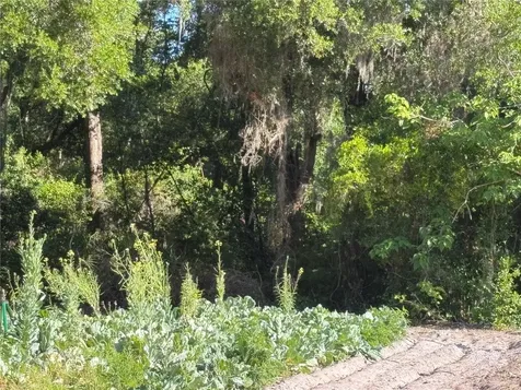 00 County Road 213 Wildwood FL 34785