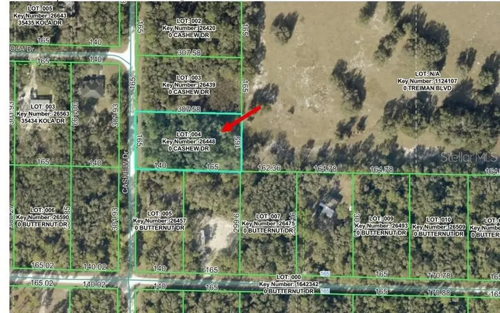 00 Cashew Drive Webster FL 33597