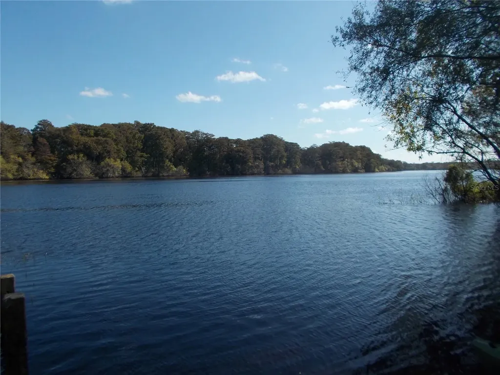 00 Cashew Drive Webster FL 33597