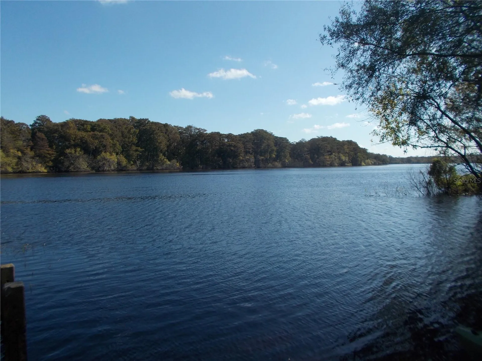 00 Cashew Drive Webster FL 33597