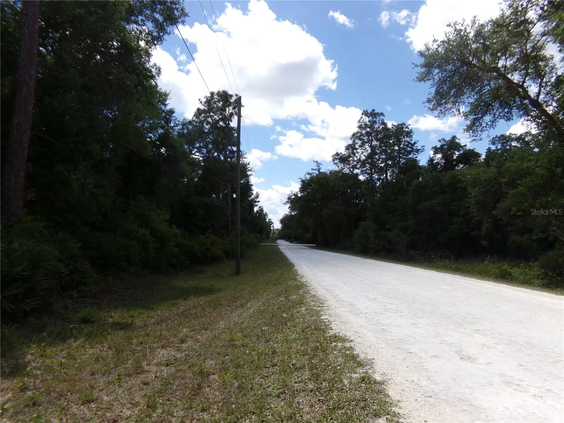 00 Cashew Drive Webster FL 33597