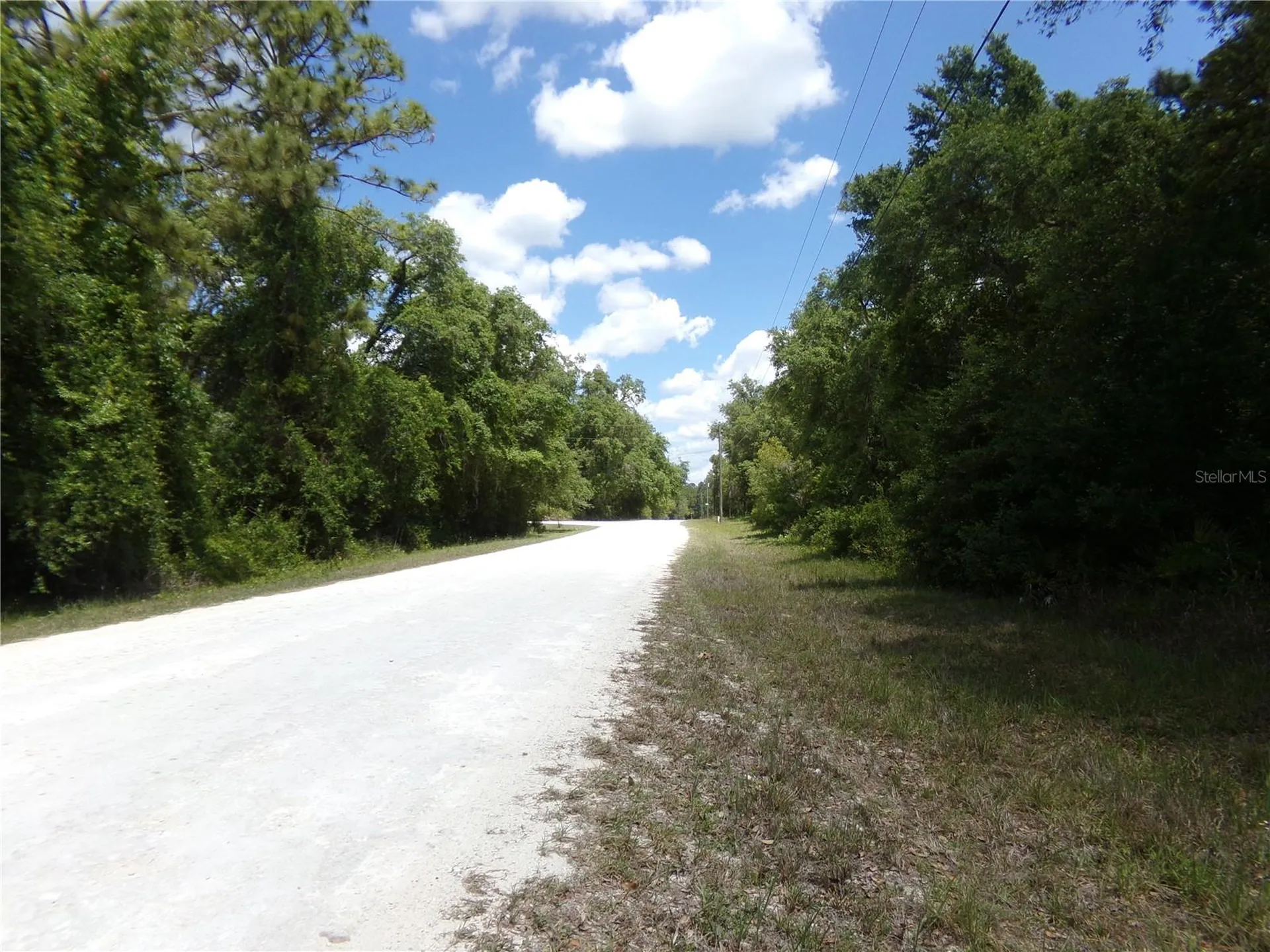 00 Cashew Drive Webster FL 33597