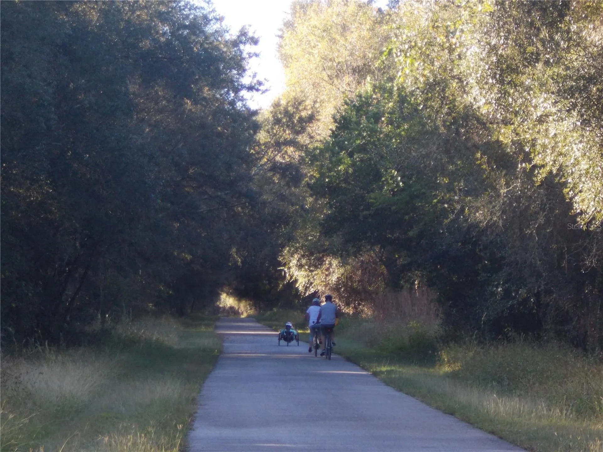 00 Cashew Drive Webster FL 33597