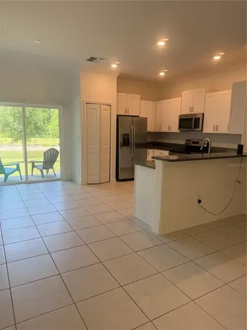 17586 Nectar Flume Drive Land O Lakes FL 34638