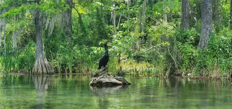 19660 SW 83rd Place Road Dunnellon FL 34432