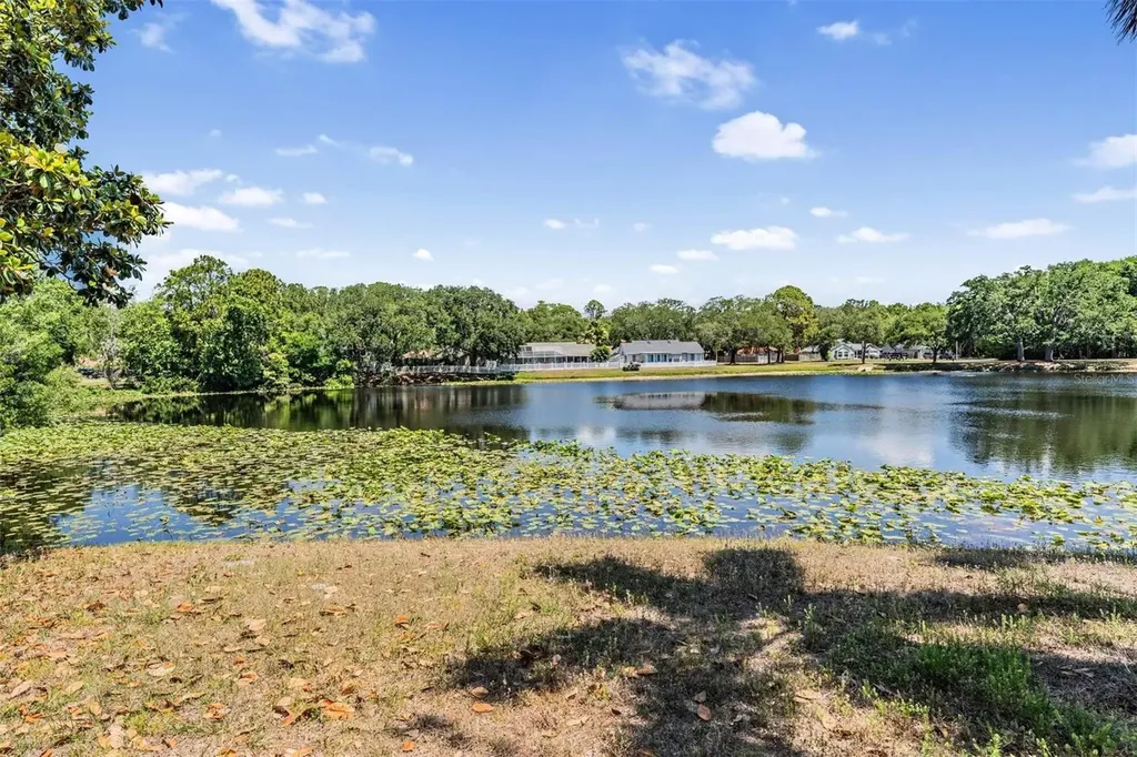 7329 Otter Creek Drive New Port Richey FL 34655