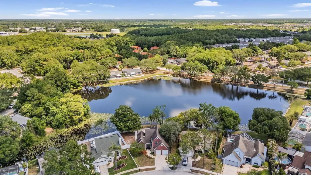 7329 Otter Creek Drive New Port Richey FL 34655