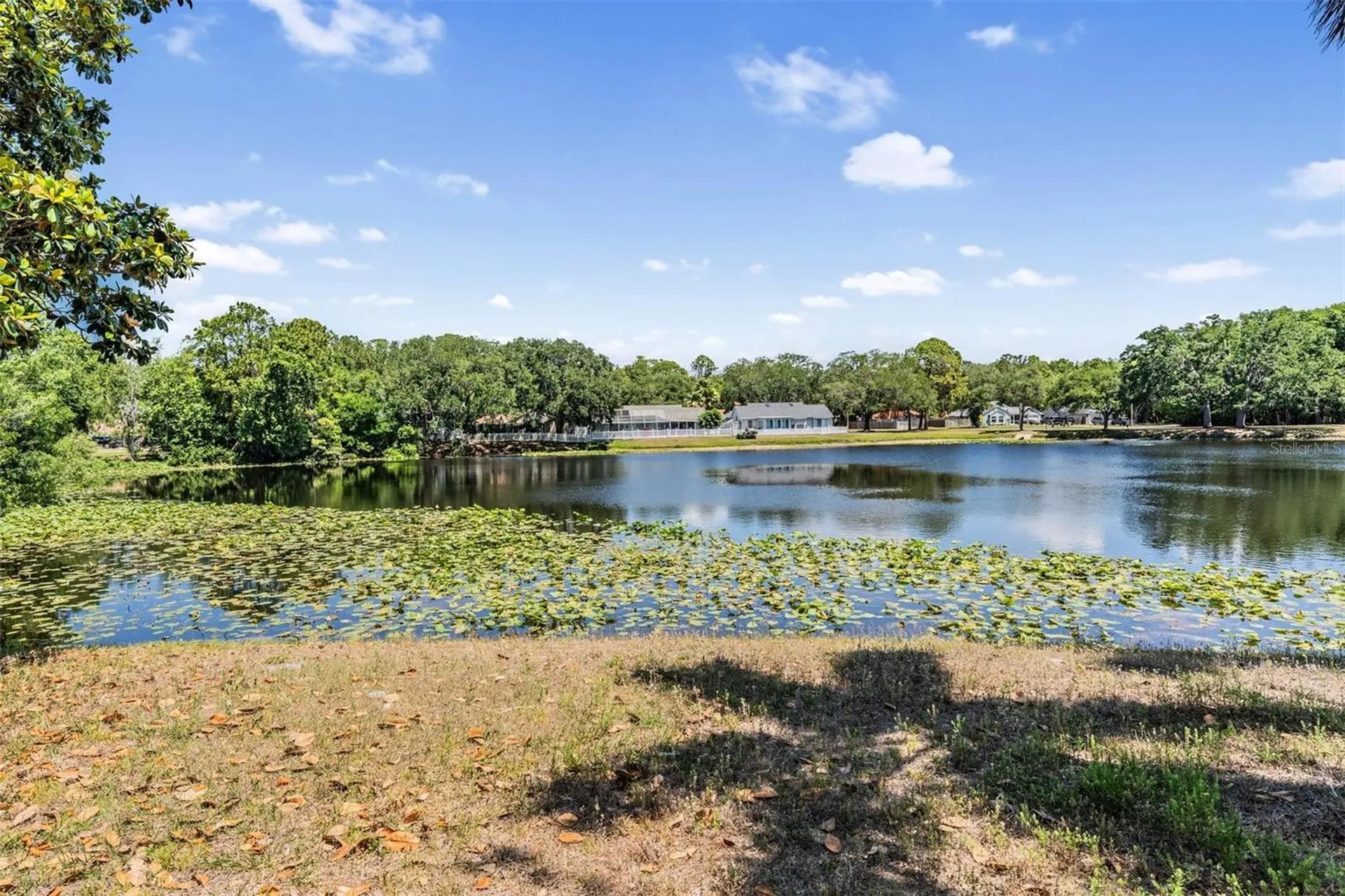 7329 Otter Creek Drive New Port Richey FL 34655