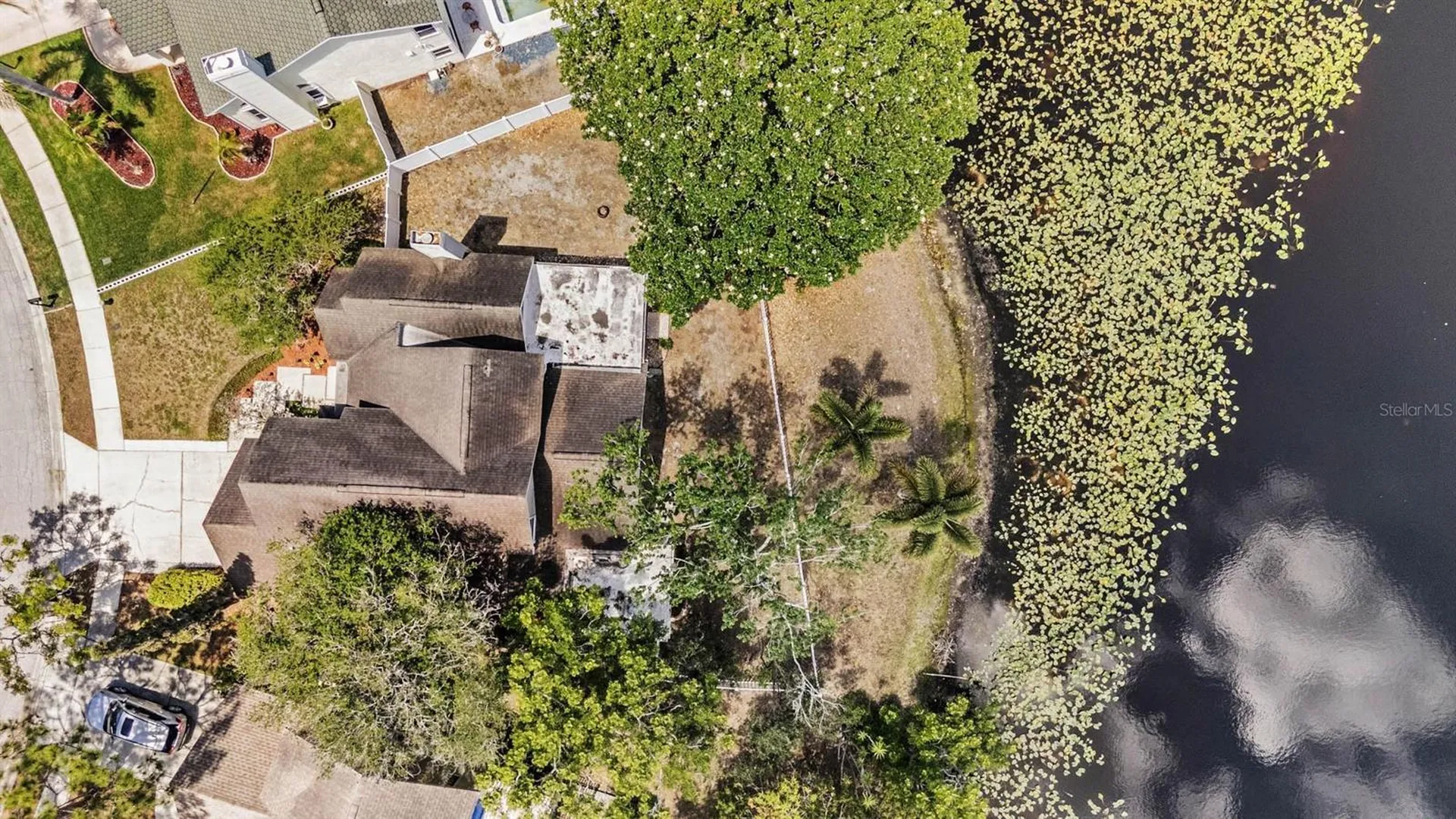 7329 Otter Creek Drive New Port Richey FL 34655