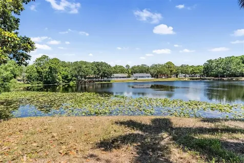 7329 Otter Creek Drive New Port Richey FL 34655