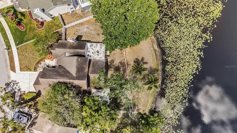 7329 Otter Creek Drive New Port Richey FL 34655
