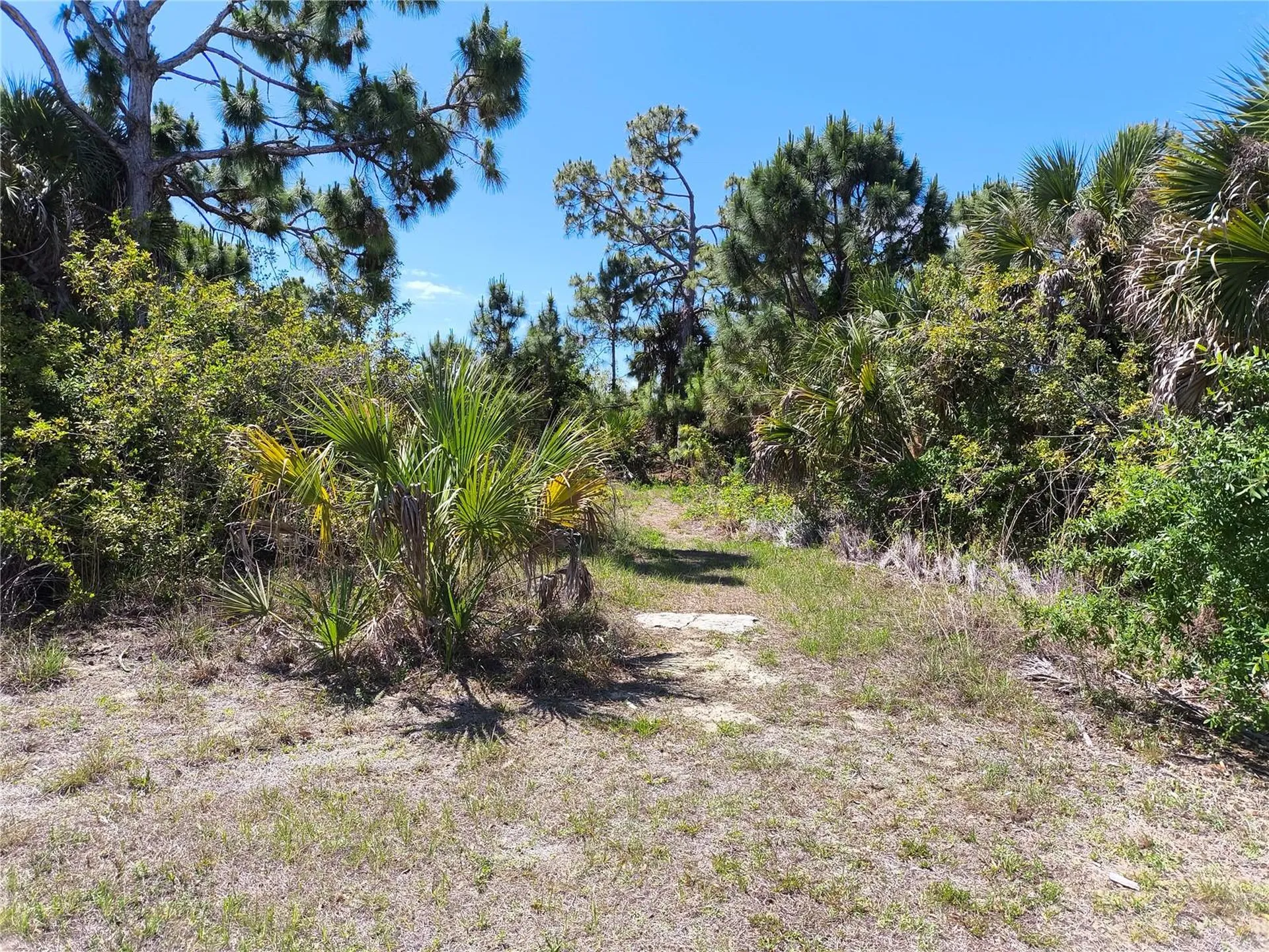 12289 Clarendon Avenue Port Charlotte FL 33981