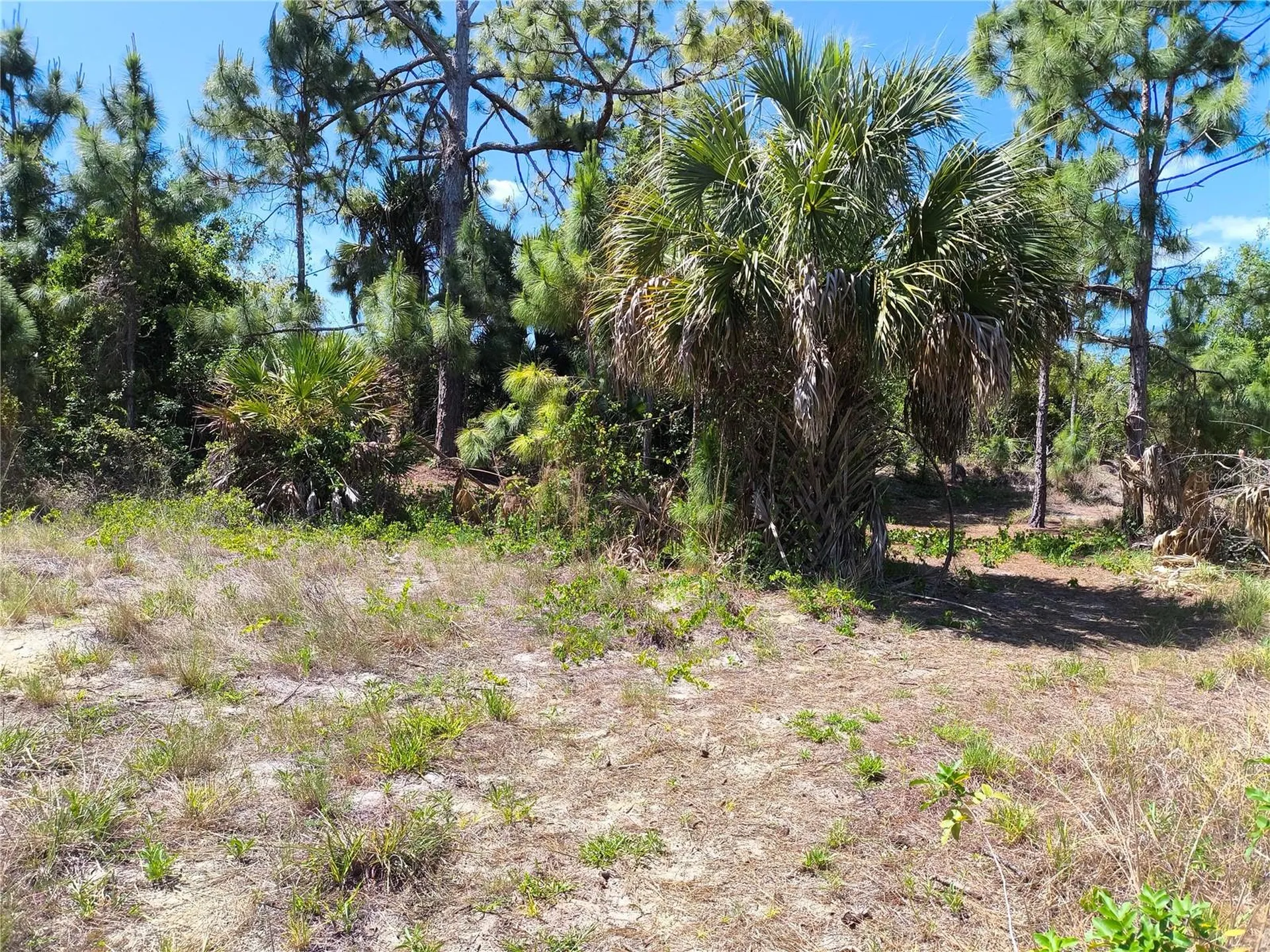 12289 Clarendon Avenue Port Charlotte FL 33981