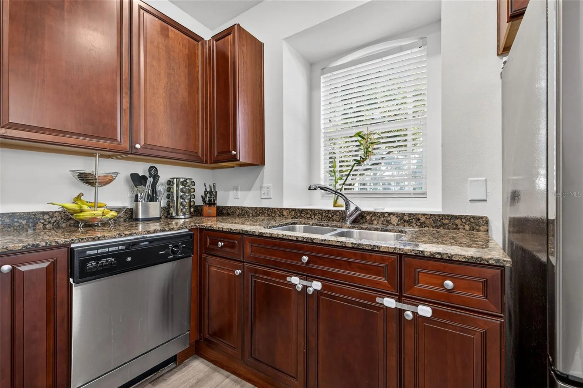 204 Rock Garden Place Tampa FL 33609