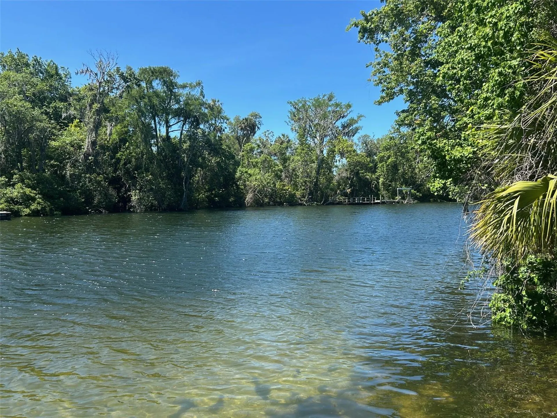 38 65th Street Yankeetown FL 34498