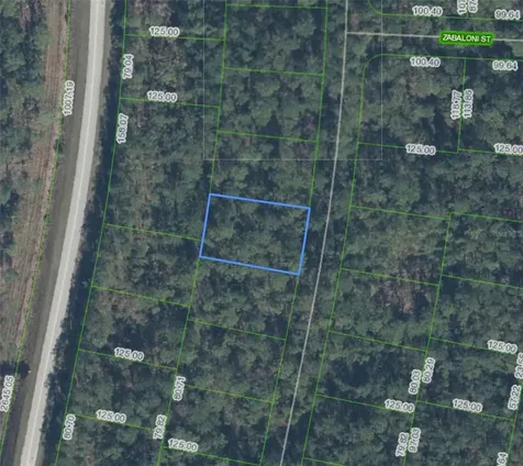 Sebring FL 33872