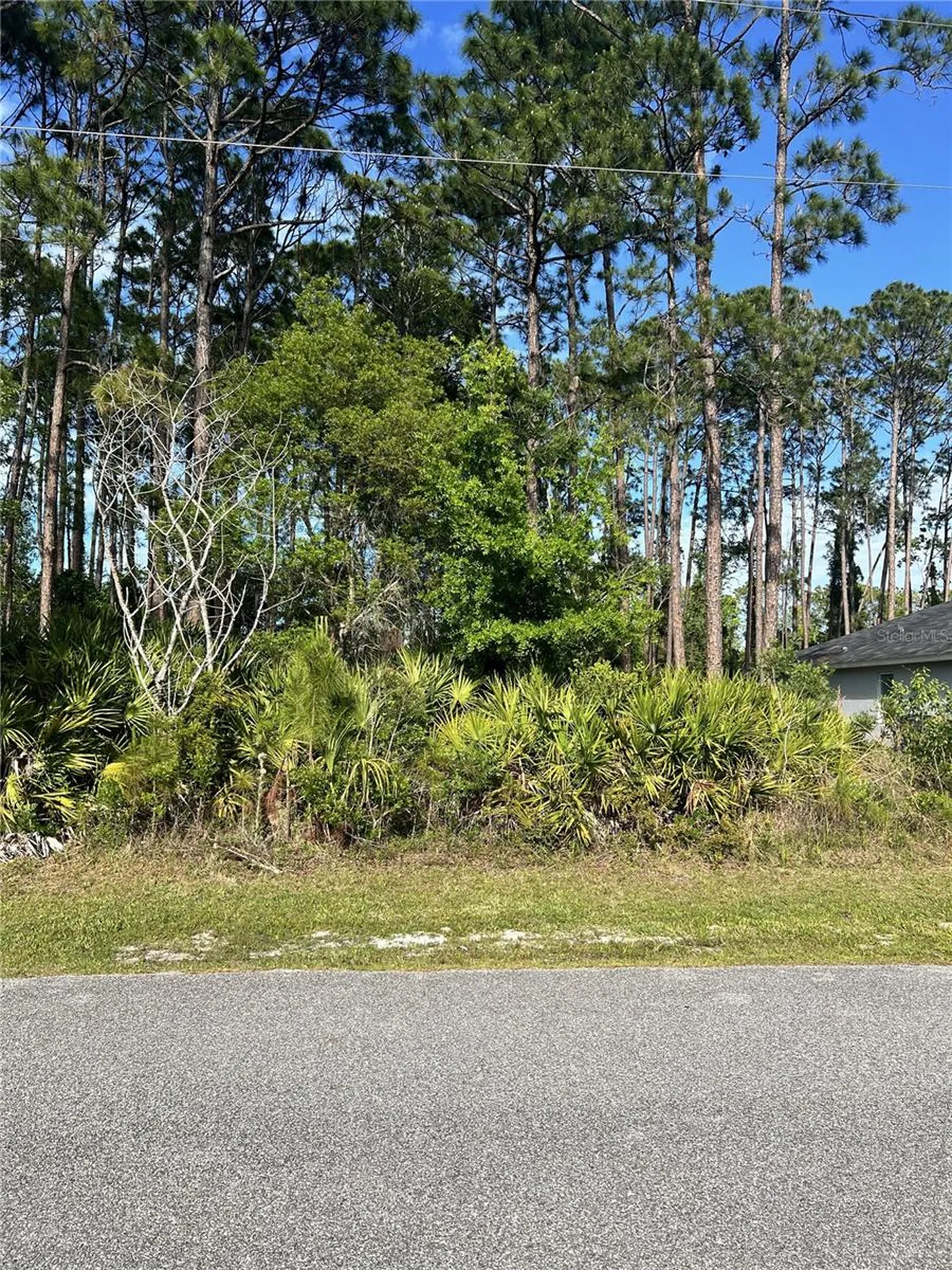 153 Ullian Trail Palm Coast FL 32164