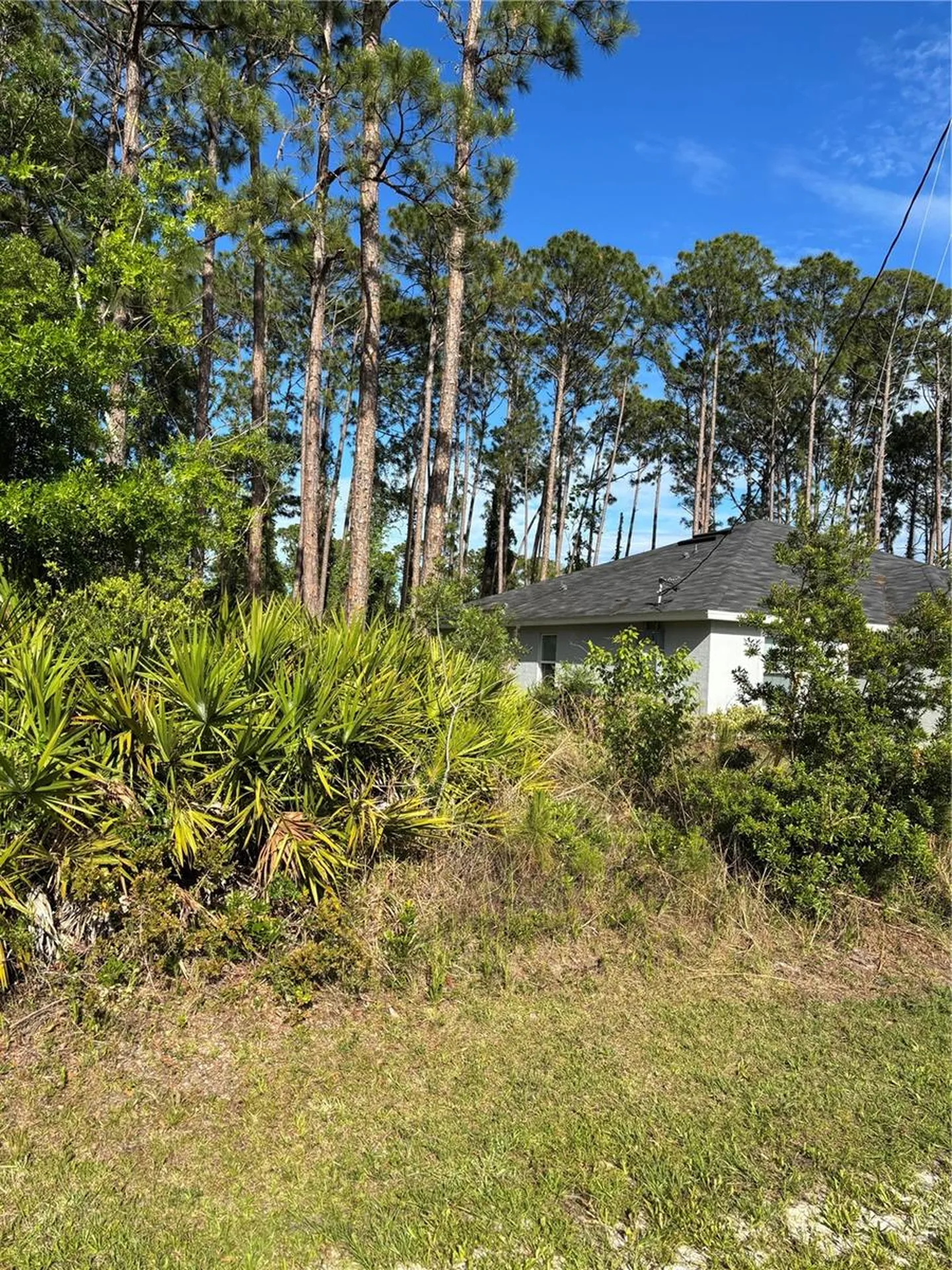 153 Ullian Trail Palm Coast FL 32164
