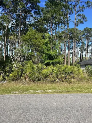 153 Ullian Trail Palm Coast FL 32164