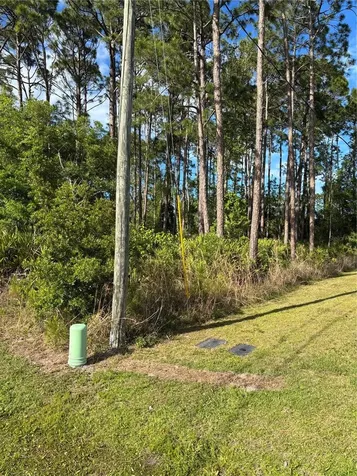 153 Ullian Trail Palm Coast FL 32164