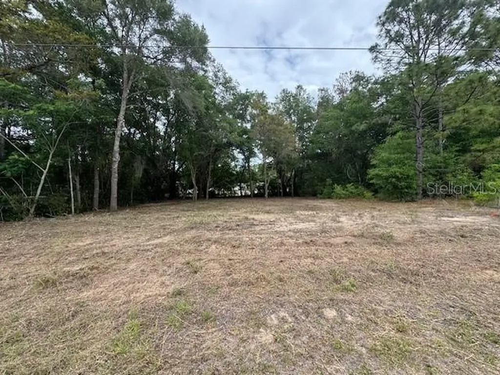 Tbd SW Beach Boulevard Dunnellon FL 34431
