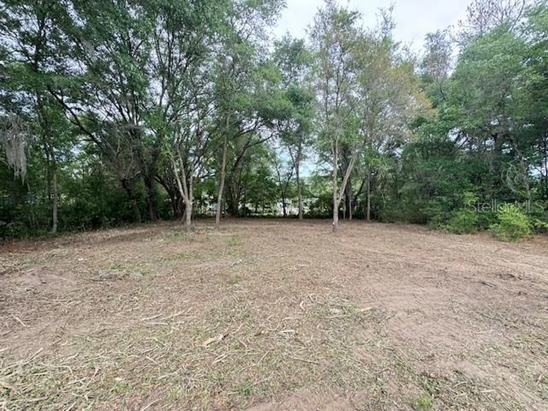 Tbd SW Beach Boulevard Dunnellon FL 34431