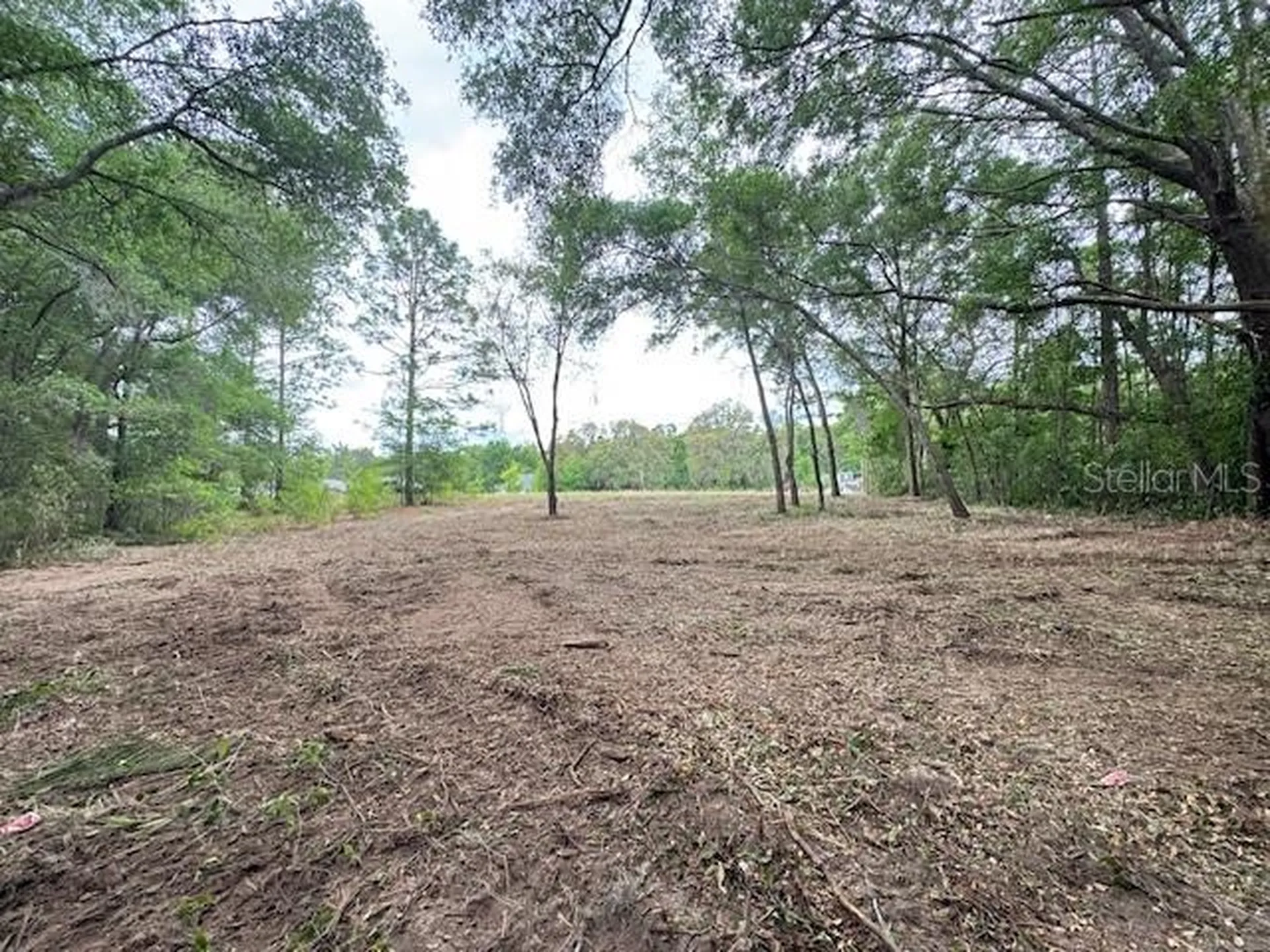 Tbd SW Beach Boulevard Dunnellon FL 34431