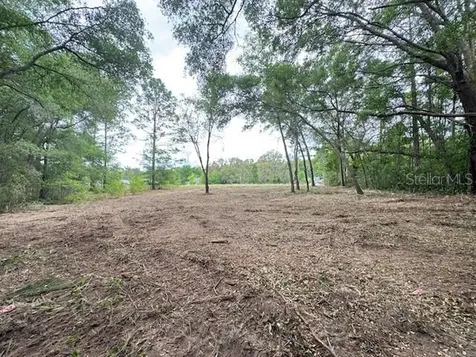Tbd SW Beach Boulevard Dunnellon FL 34431