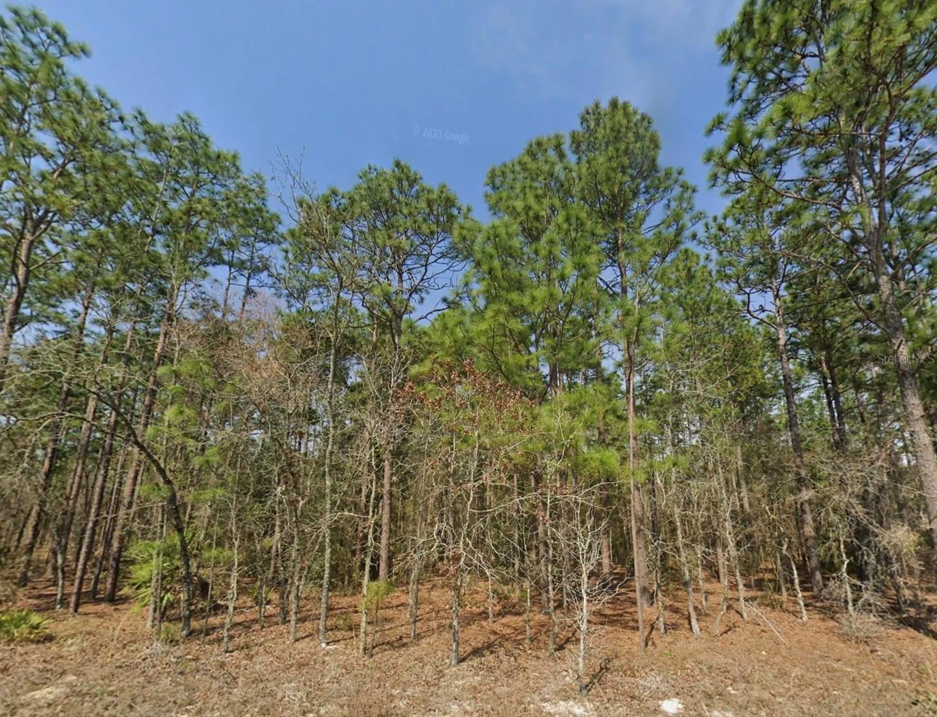 Tbd (Lot 12) SW 128th Terrace Road Ocala FL 34481