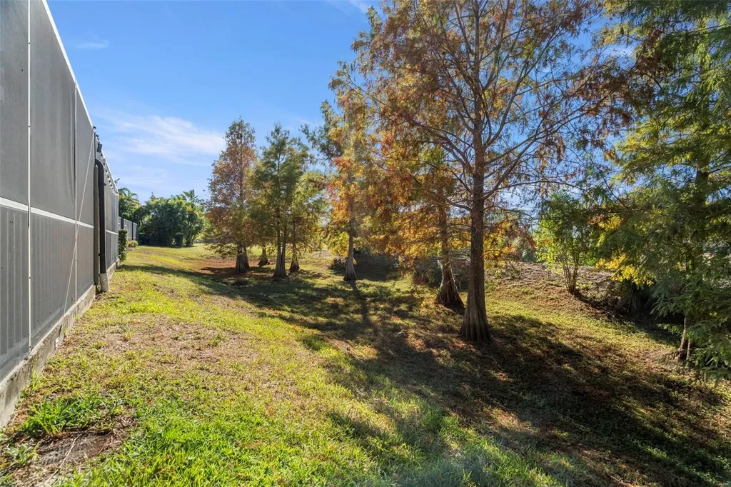 1342 Ribolla Drive Palm Harbor FL 34683