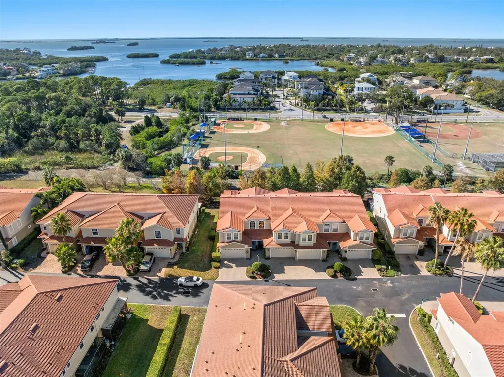1342 Ribolla Drive Palm Harbor FL 34683