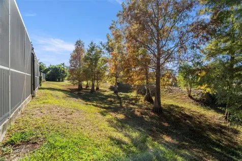 1342 Ribolla Drive Palm Harbor FL 34683