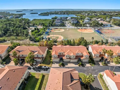 1342 Ribolla Drive Palm Harbor FL 34683